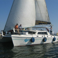 manatee-sun-sail